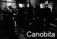Cenobita