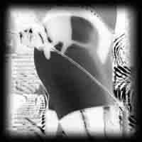 Nopal Beat