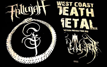 Fallujah