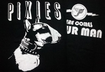 Pixes