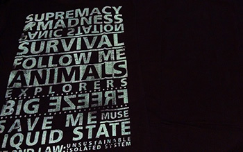 Muse