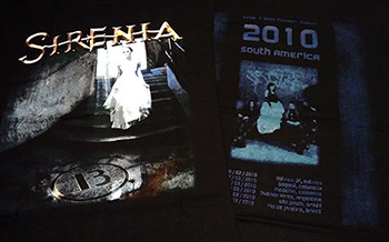 Sirenia